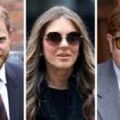 Prince Harry and six others face privacy case legal bill of up to £34.5m
