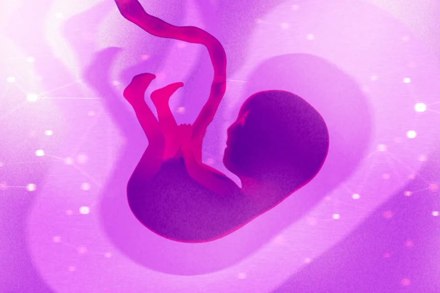 A Biotech Founder Makes the Moral Case for Gene-Editing Human Embryos