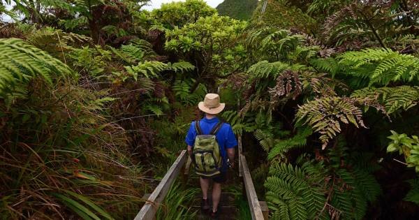 St Helena Invites Travellers to ‘Come and Find Me’ as Remote Island Steps into the Tourism Spotlight