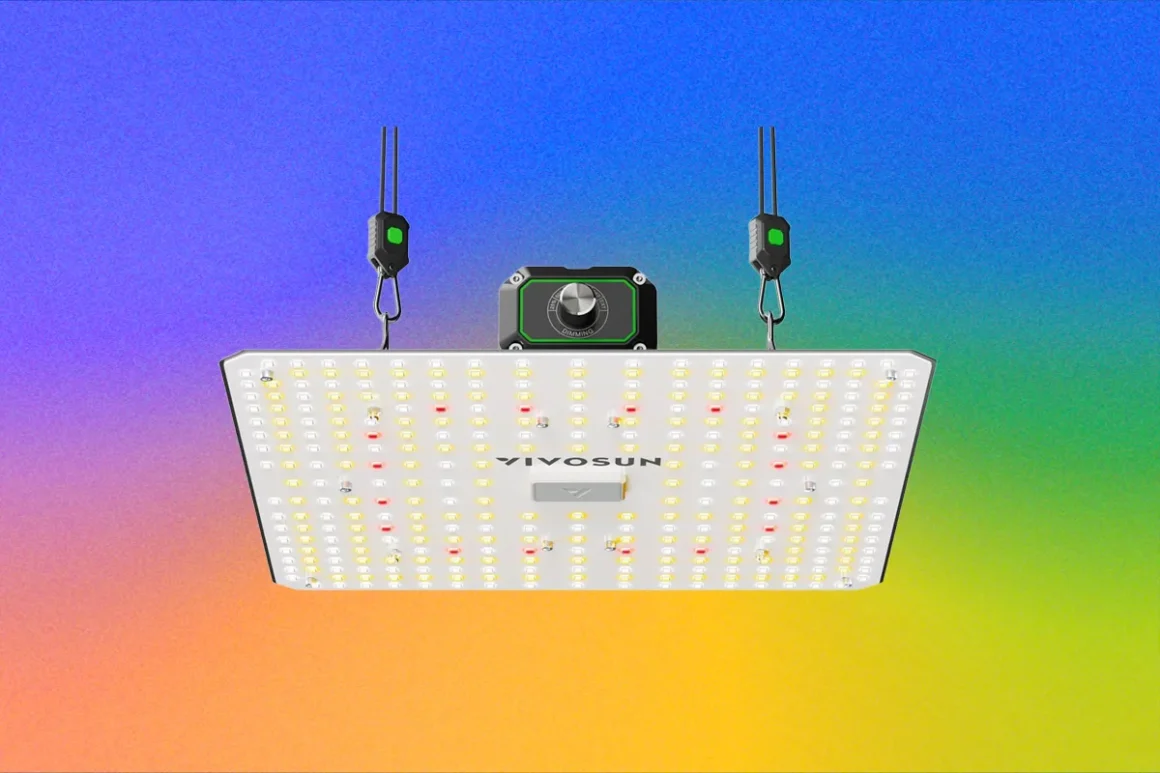 The Best LED Grow Lights for Houseplants This Winter (2026)